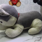 Next Product Image